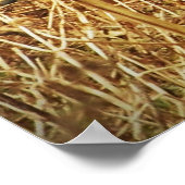 オオウズラ ポスター (角)