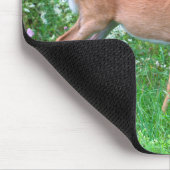 オオウズラ マウスパッド (コーナー)