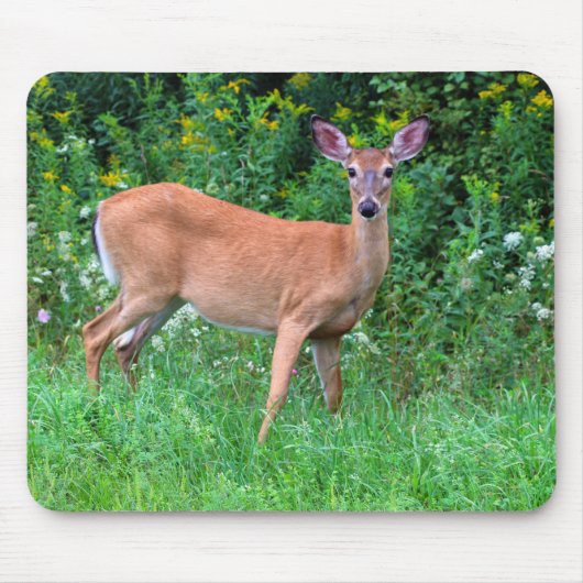 オオウズラ マウスパッド (正面)