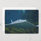 オオエイ 招待状 (正面/裏面)