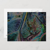 オオオカグモ星雲 ポストカード (正面/裏面)