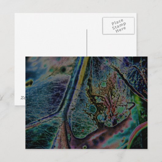 オオオカグモ星雲 ポストカード (正面/裏面)