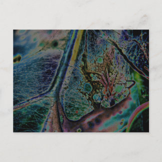 オオオカグモ星雲 ポストカード