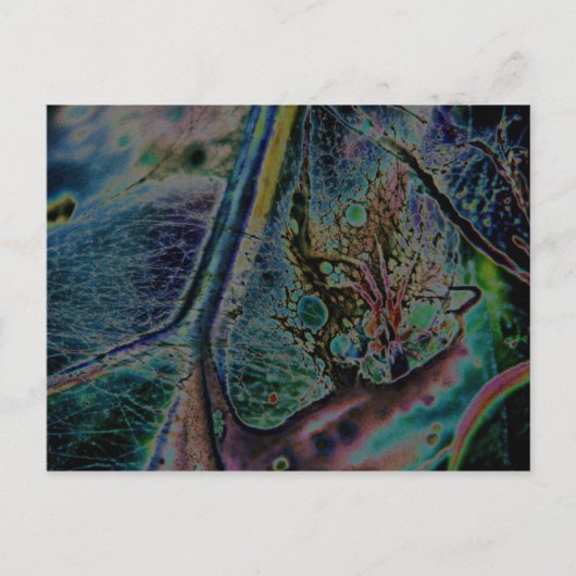 オオオカグモ星雲 ポストカード (正面)