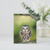 オオオカミのクロウのクローズアップ ポストカード (スタンド正面)