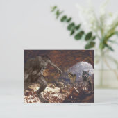 オオオカミの荷造り洞窟 ポストカード (スタンド正面)