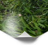 オオオカミ フォトプリント            (角)