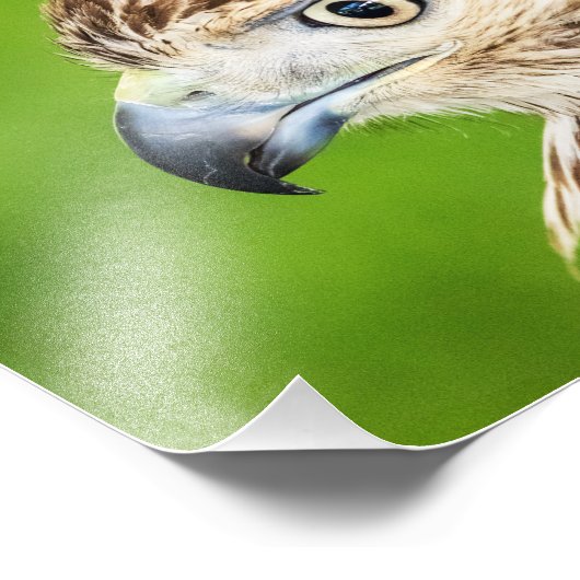 オオオカミ フォトプリント            (角)