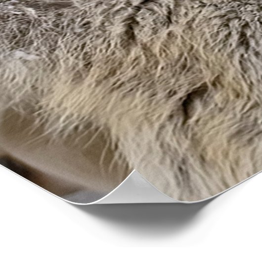 オオオカミ ポスター (角)