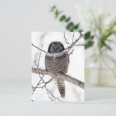 オオオカミ ポストカード (スタンド正面)