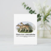 オオオカミ ポストカード (スタンド正面)