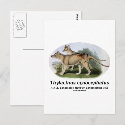 オオオカミ ポストカード (正面/裏面)