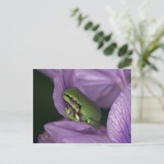 オオオカミ ポストカード (スタンド正面)