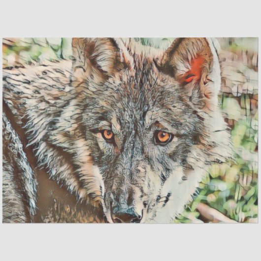 オオオカミ 薄葉紙 (正面)