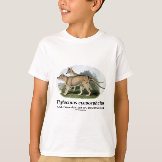 オオオカミ Tシャツ (正面)