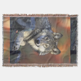 オオオカミGray Wolf Canis_lupus スローブランケット