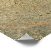 オオカグモ ポスター (角)