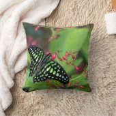 オオカケチョウ クッション (ブランケット)