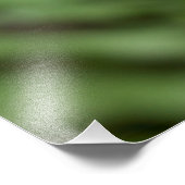 オオカケチョウ フォトプリント            (角)