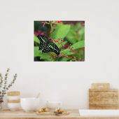 オオカケチョウ ポスター (キッチン)