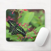 オオカケチョウ マウスパッド (マウス)