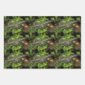 オオカケチョウ ラッピングペーパーシート (正面2)