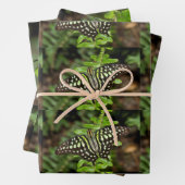 オオカケチョウ ラッピングペーパーシート (インサイチュ)