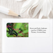 オオカケチョウ ラベル (インサイチュ)