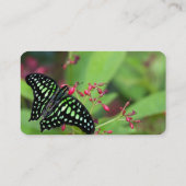 オオカケチョウ 名刺 (裏面)