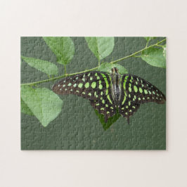 オオカマバエ ジグソーパズル