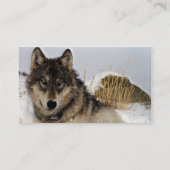 オオカミか雪で置いている材木オオカミ 名刺 (裏面)