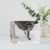 オオカミがネズミに出会う ポストカード (スタンド正面)