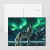 オオカミが北の光の下で吠える ポストカード (正面/裏面)