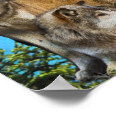 オオカミと月 ポスター (角)