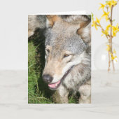 オオカミのうろつきの挨拶状 カード (黄色い花)