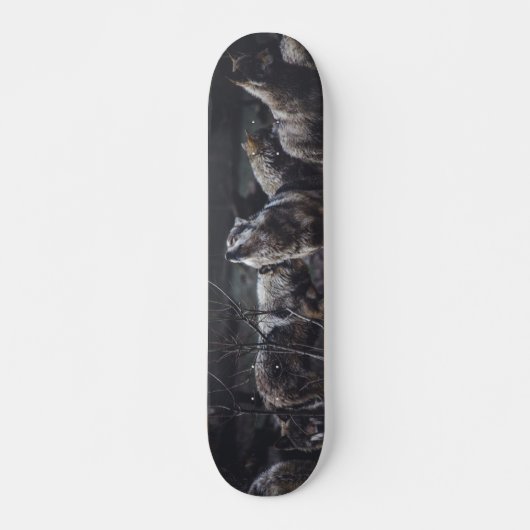 オオカミのオオカミのオオカミ スケートボード (正面)