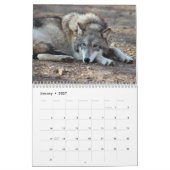 オオカミのカレンダー、オオカミ カレンダー (1月 2027)