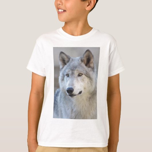 オオカミのクローズアップ Tシャツ (正面)