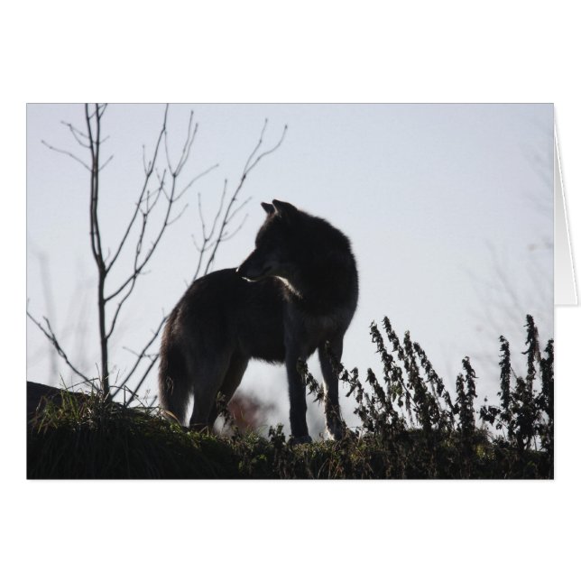 オオカミのシルエット (正面横)