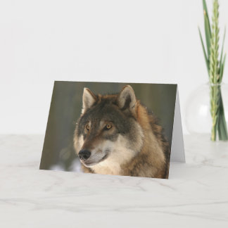 オオカミのバレンタインカード シーズンカード