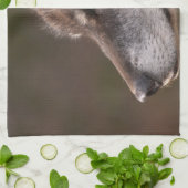 オオカミのプロフィール キッチンタオル (折り畳み)