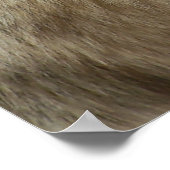 オオカミのプロフィール ポスター (角)