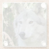 オオカミのポートレート ガラスコースター (裏面)