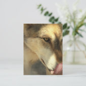 オオカミのランチのポストカード ポストカード (スタンド正面)