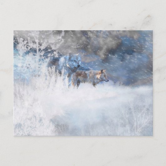 オオカミの冬の領土 ポストカード (正面)