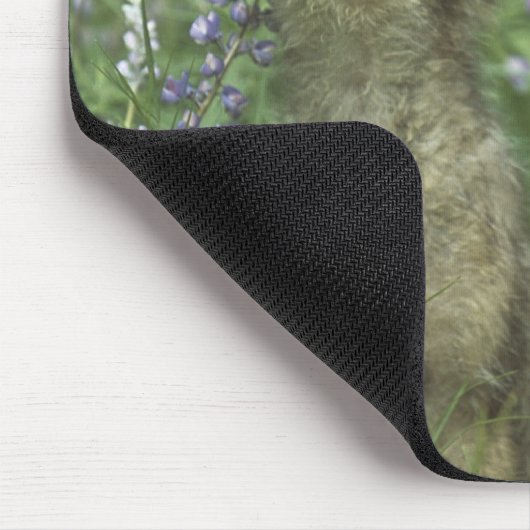 オオカミの子犬が牧草地で吠えている マウスパッド (コーナー)