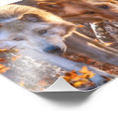 オオカミの子犬の秋の色 フォトプリント            (角)