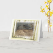 オオカミの思考 カード (黄色い花)