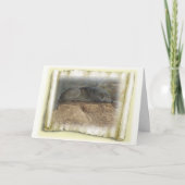 オオカミの思考 カード (正面)