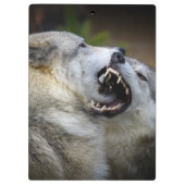 オオカミの戦い クリップボード (裏面)